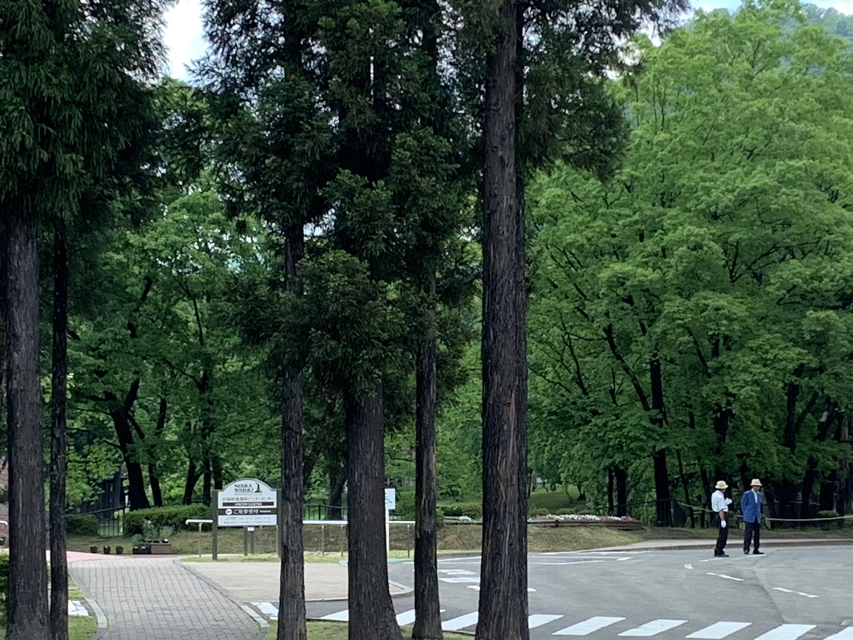 f:id:half_moon0419:20190619215207j:plain f:id:half_moon0419:20190619215207j:plain