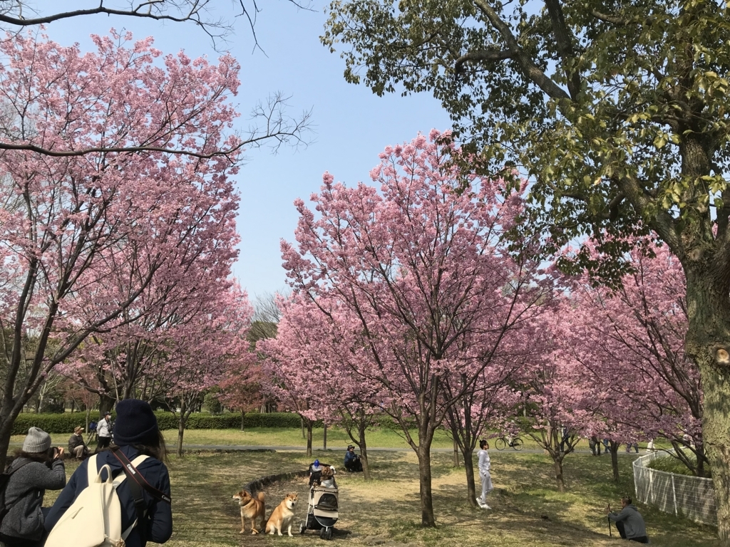 f:id:halfopera:20180326122030j:plain f:id:halfopera:20180326122030j:plain