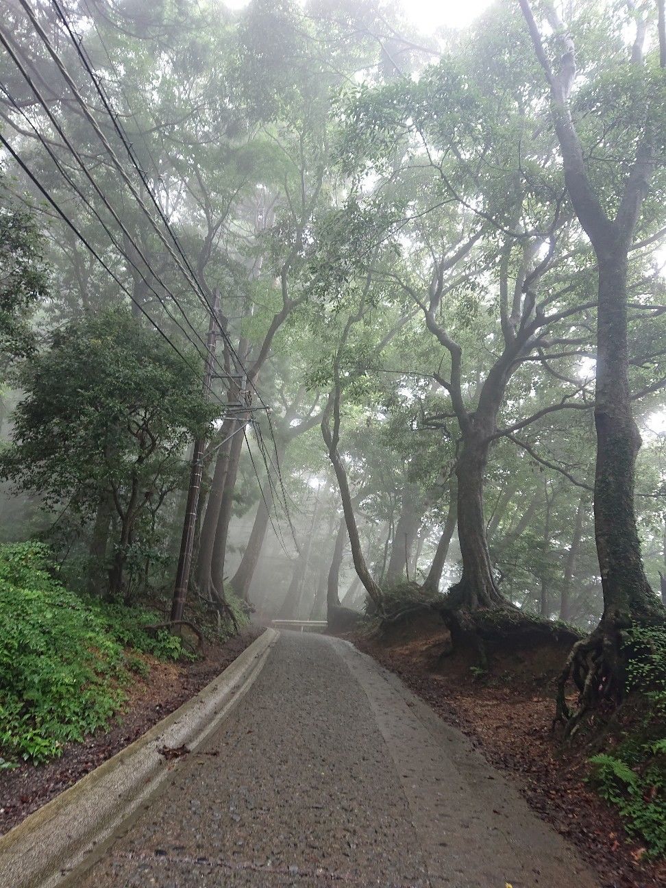 f:id:halnem:20201123230941j:image