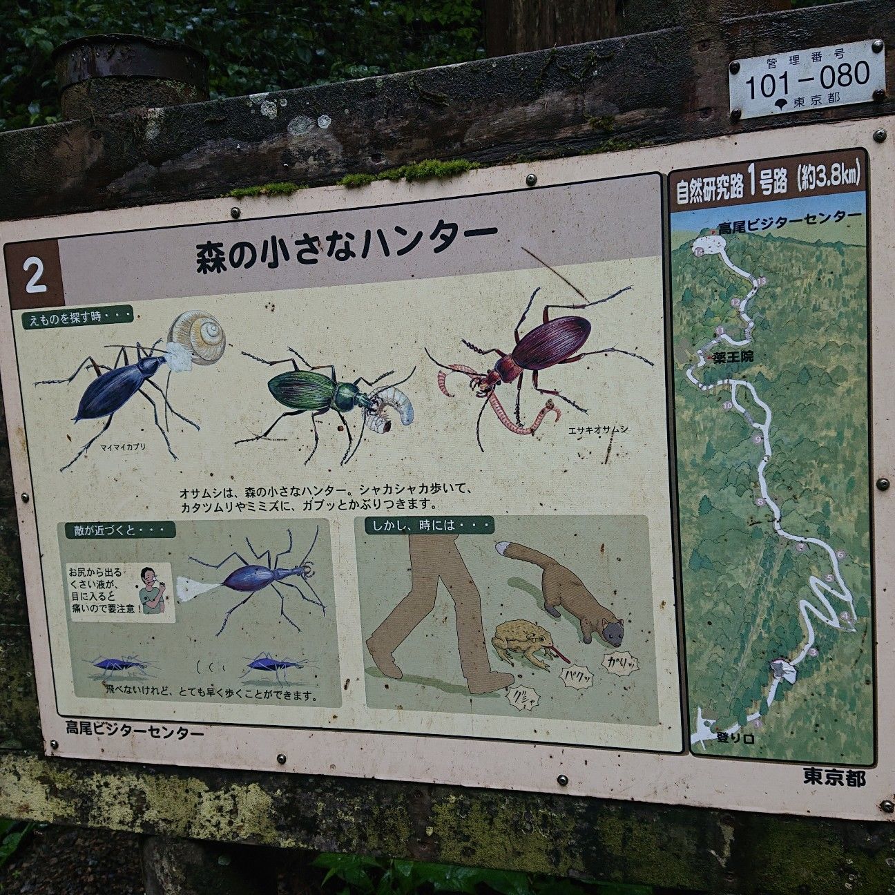 f:id:halnem:20201123231011j:image