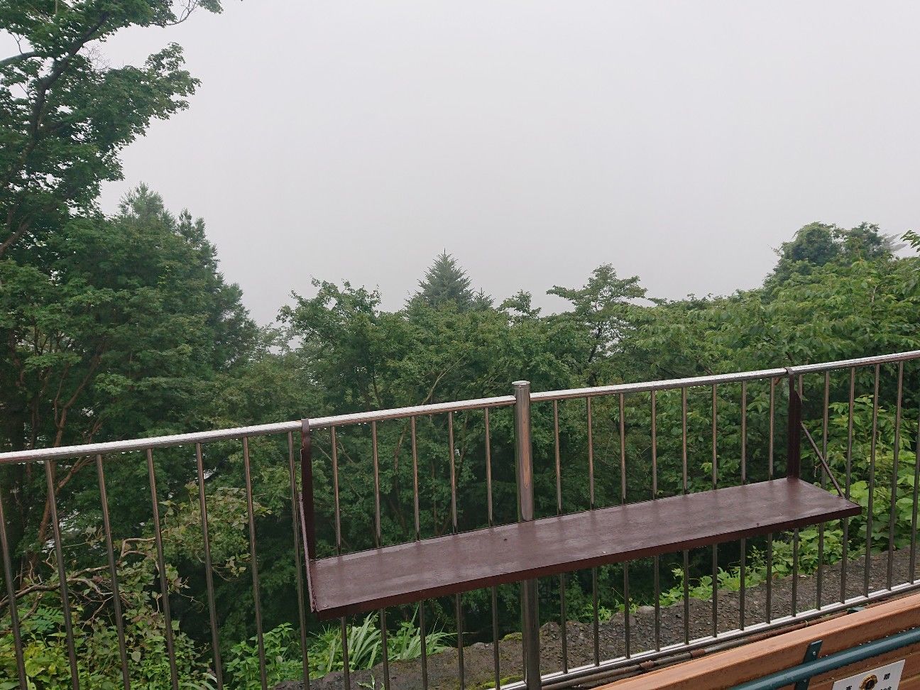 f:id:halnem:20201123231035j:image