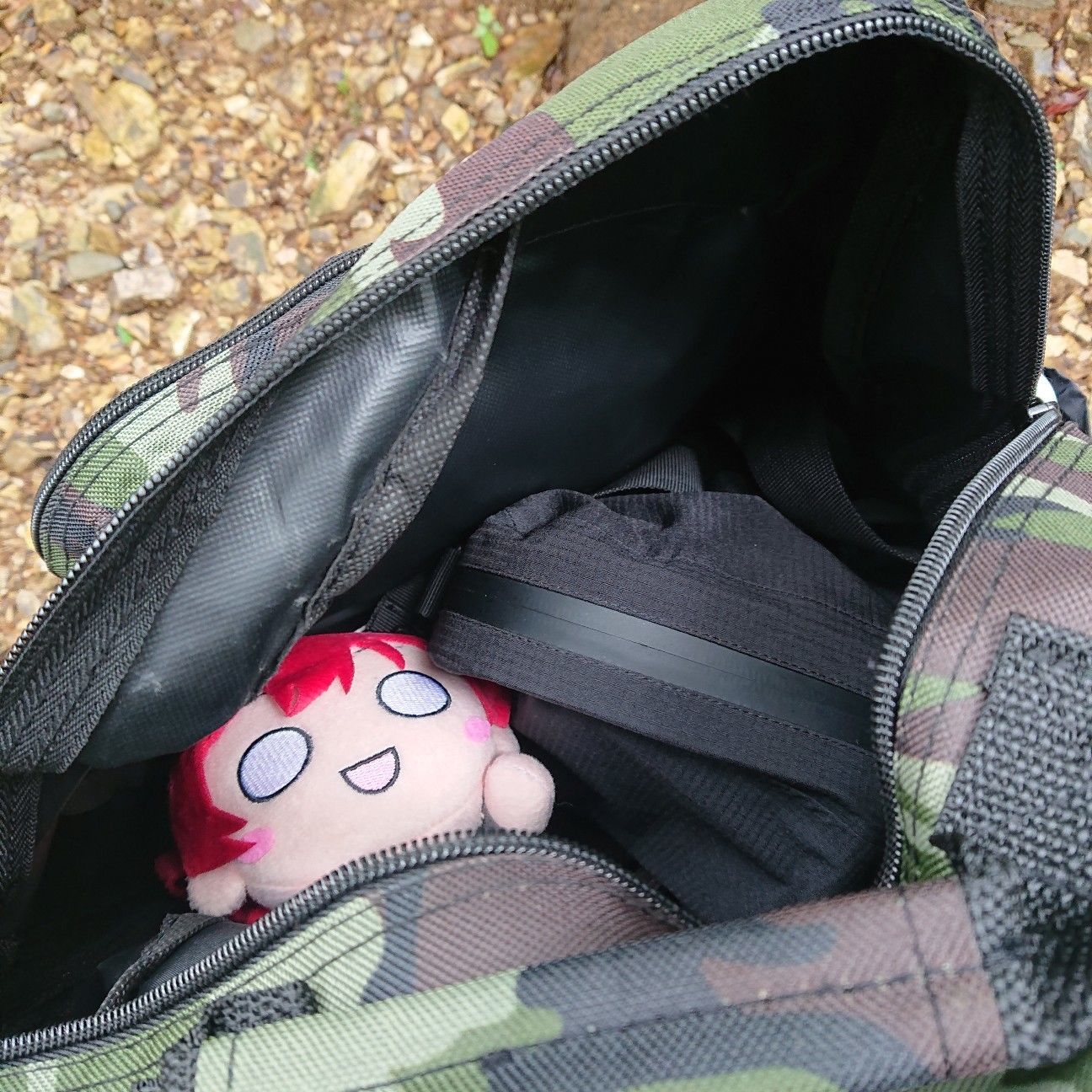 f:id:halnem:20201123231215j:image