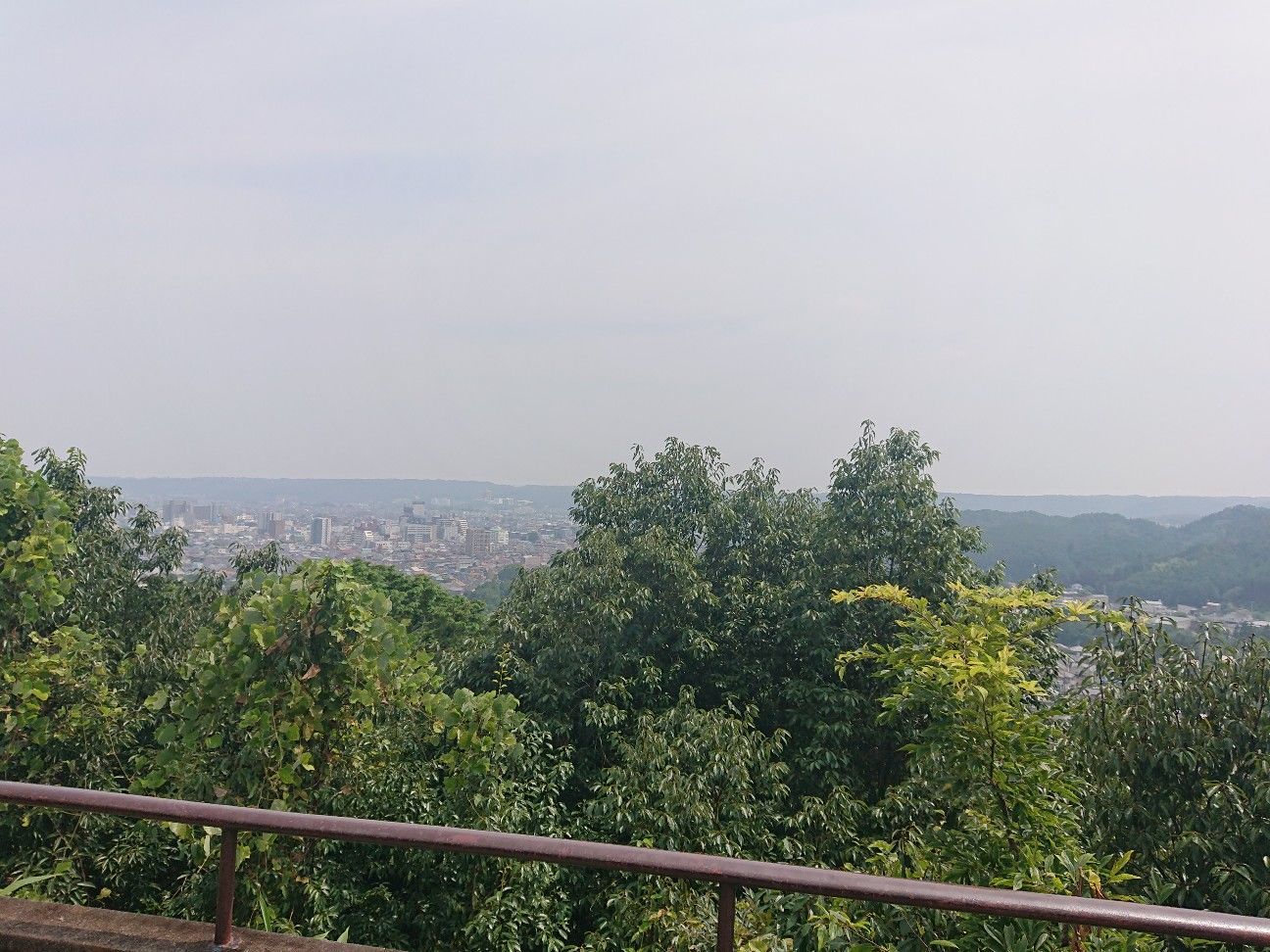 f:id:halnem:20201125223756j:image f:id:halnem:20201125223756j:image