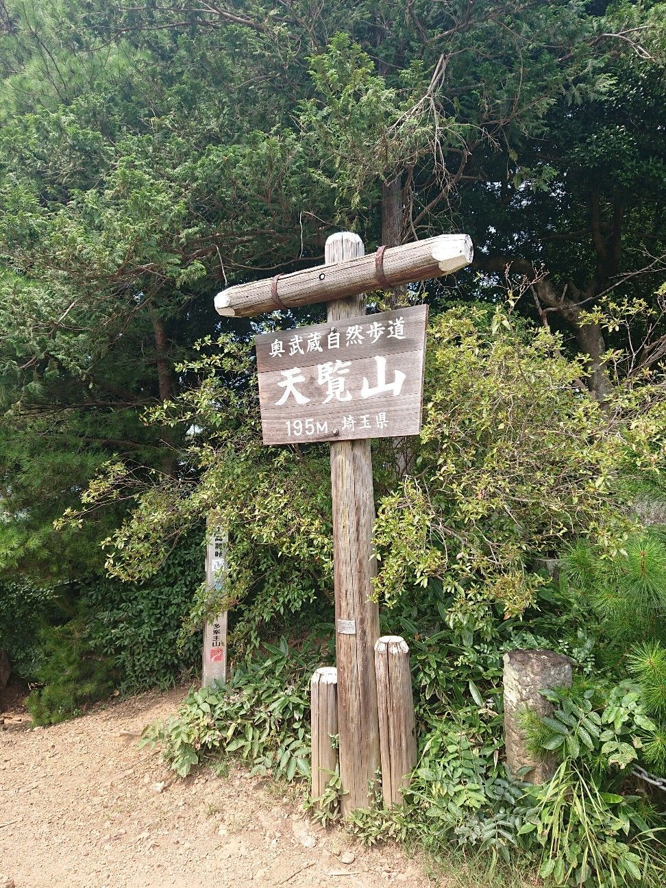 f:id:halnem:20201125223818j:image f:id:halnem:20201125223818j:image