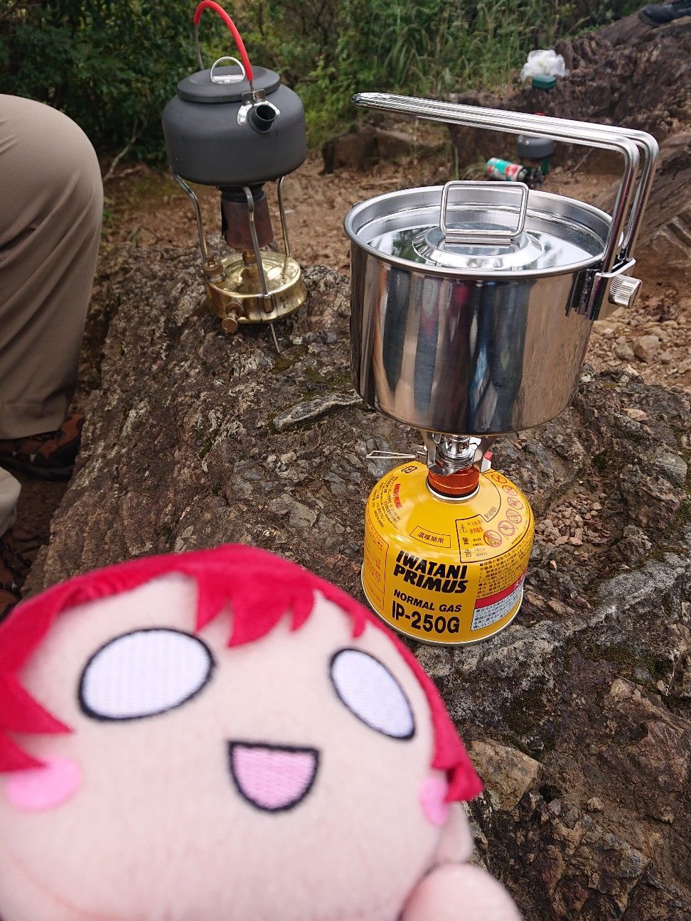 f:id:halnem:20201125224503j:plain