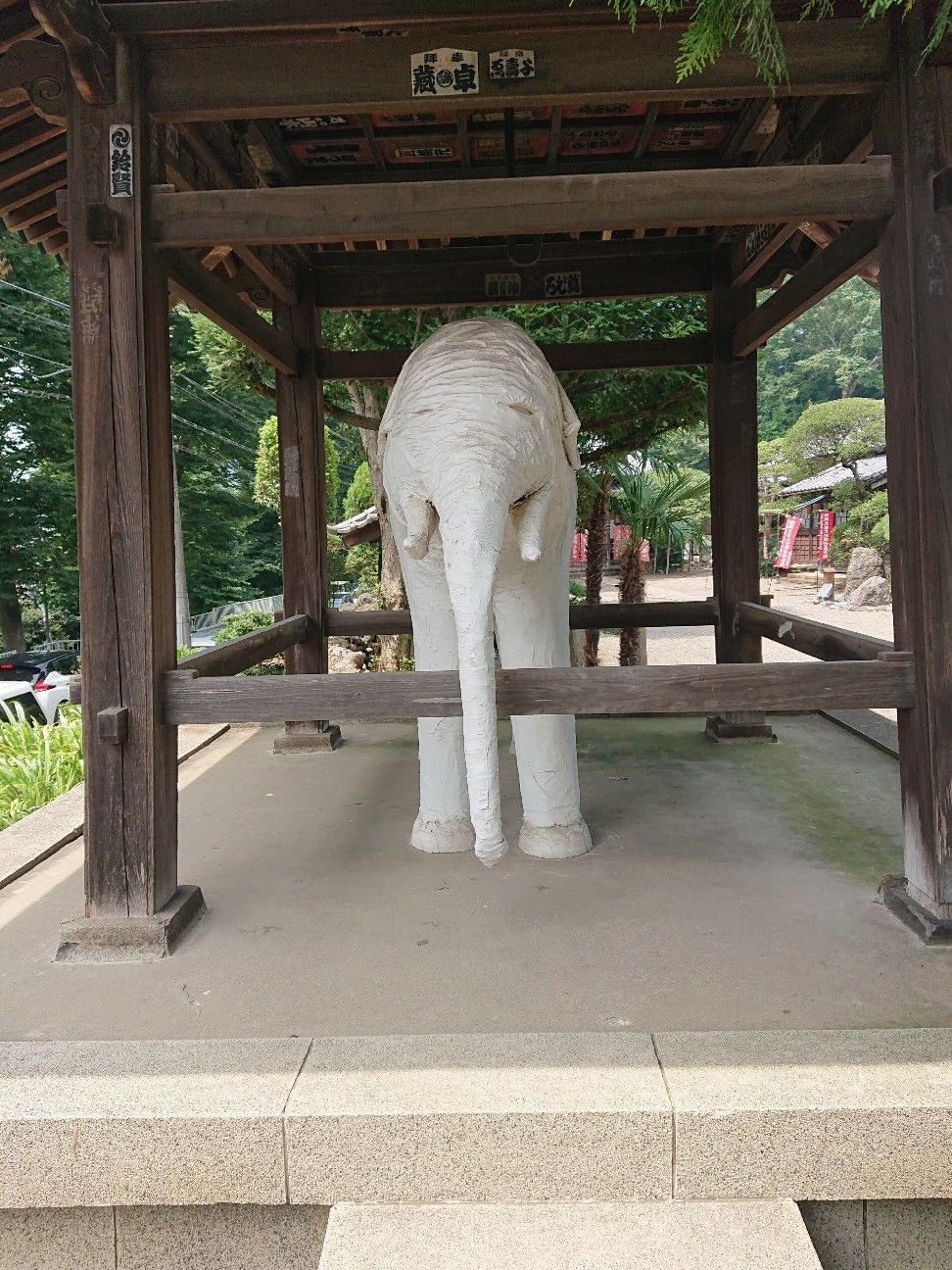 f:id:halnem:20201129204404j:image f:id:halnem:20201129204404j:image