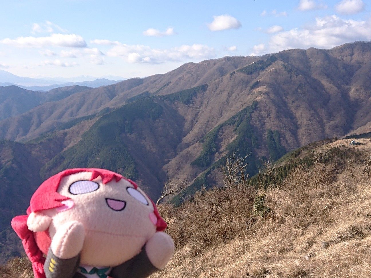 f:id:halnem:20201227000115j:plain