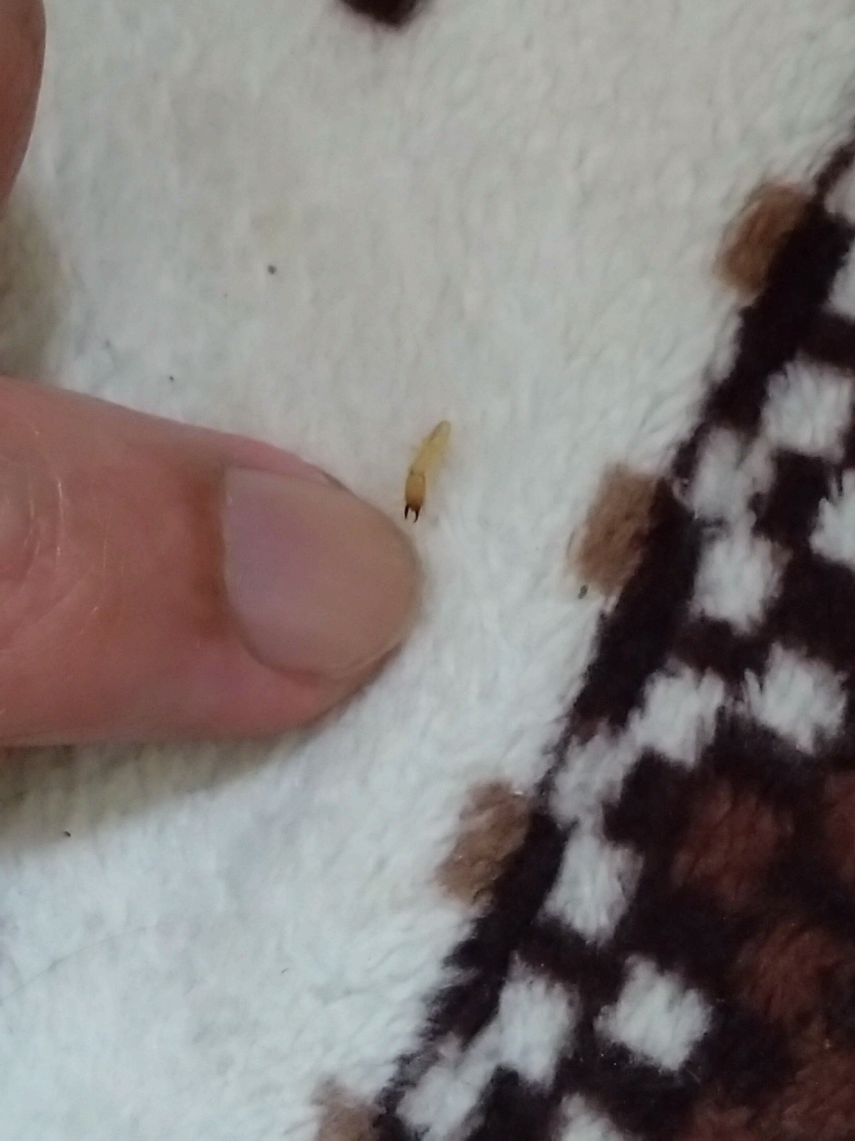 f:id:halnem:20230901125027j:image