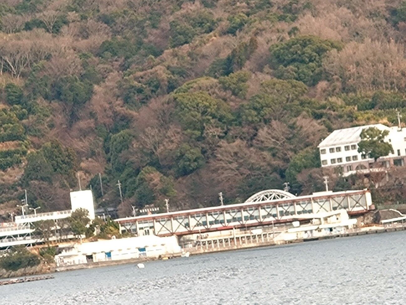 f:id:halnem:20240211153155j:image