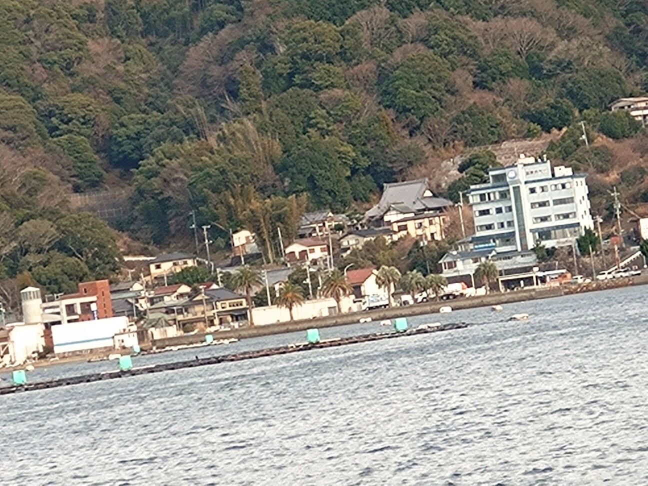 f:id:halnem:20240211153209j:image