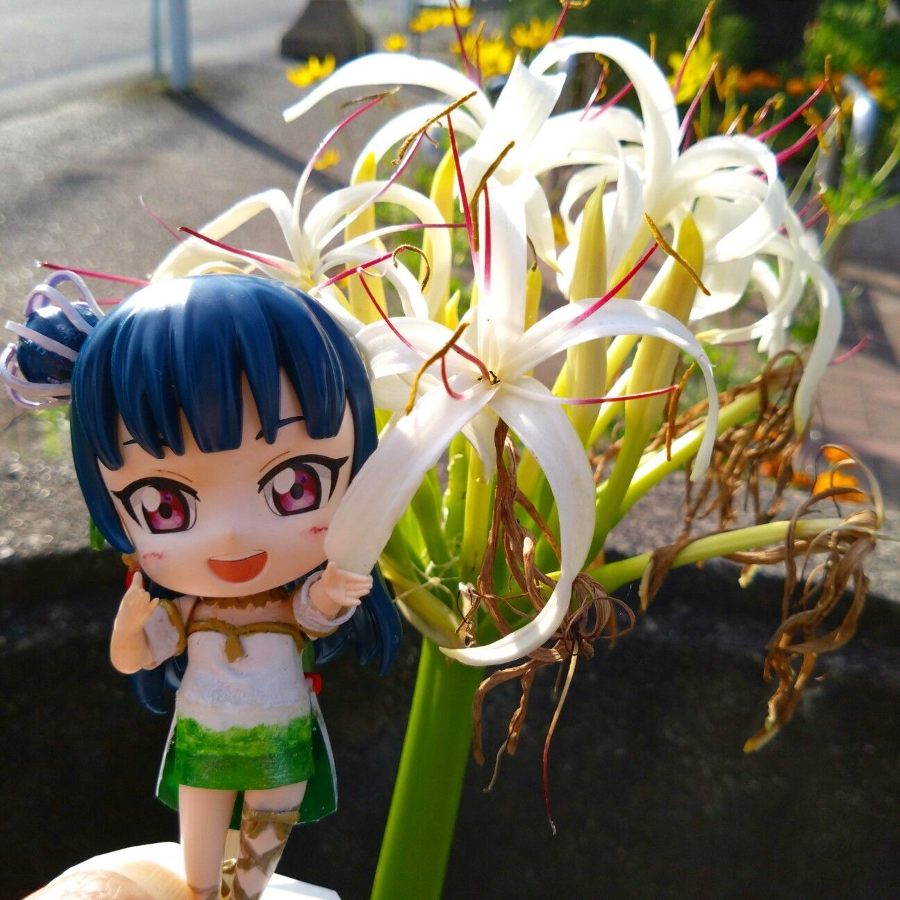 f:id:halnem:20240727222820j:image