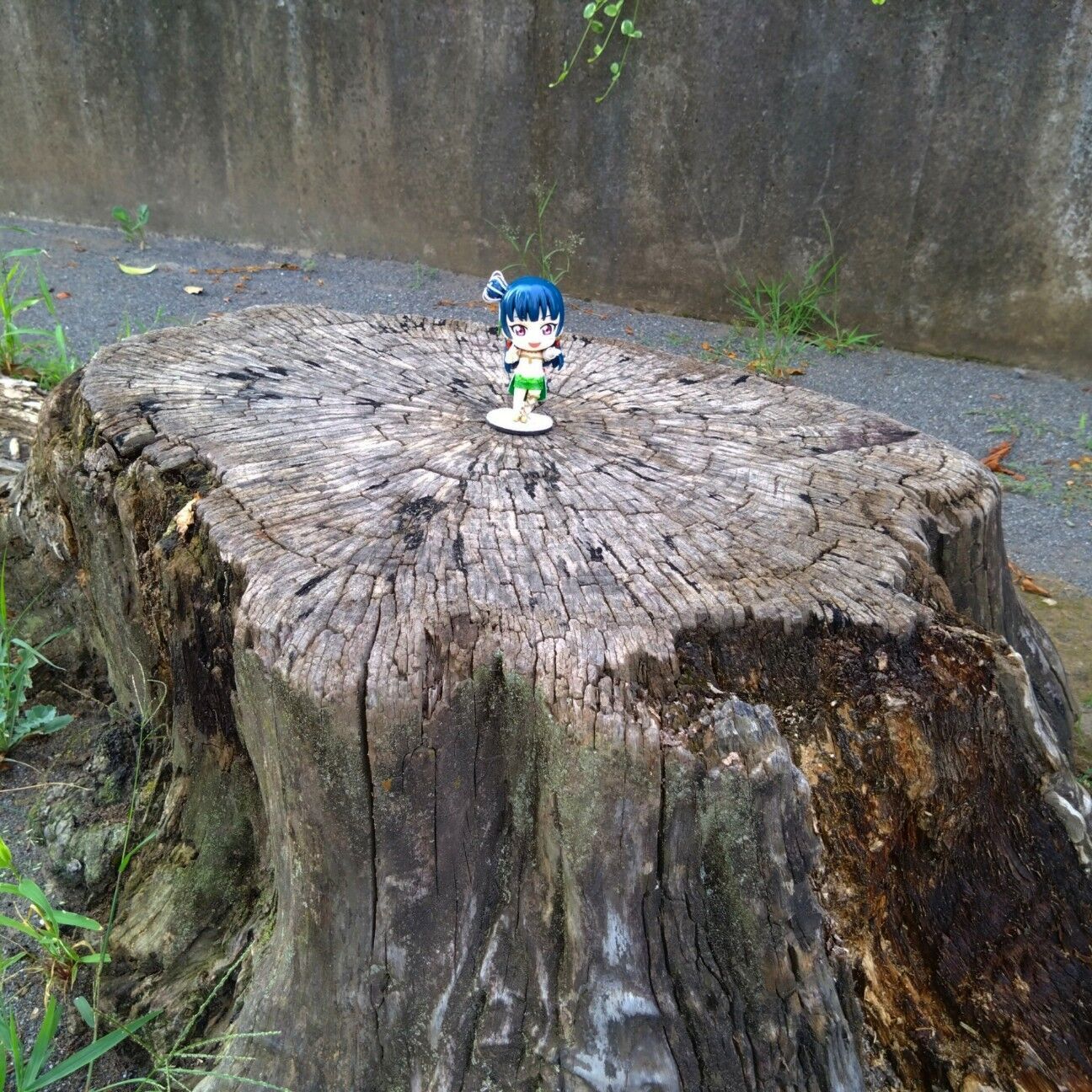 f:id:halnem:20240727222840j:image