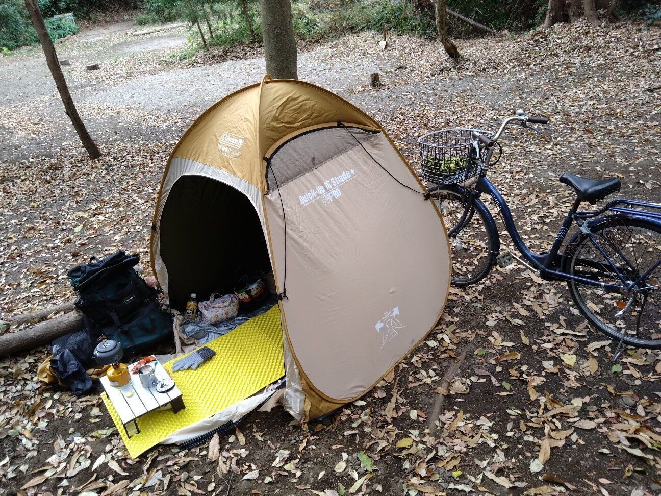 f:id:halnem:20251213202634j:image