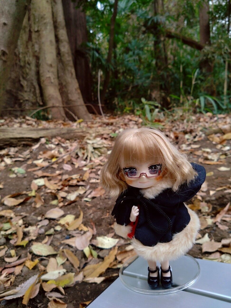 f:id:halnem:20251213202706j:image