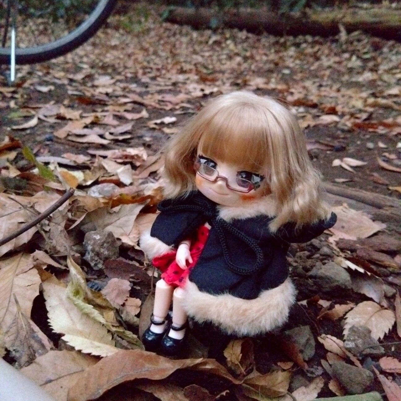 f:id:halnem:20251213202727j:image