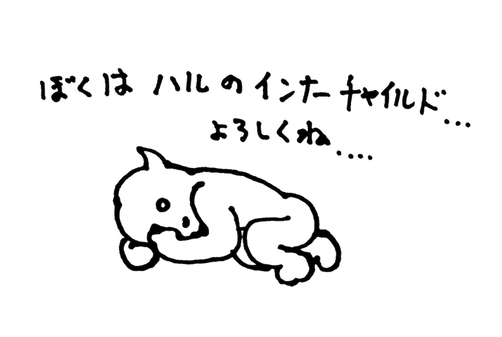 f:id:halnoyamanashi:20190215200751j:image