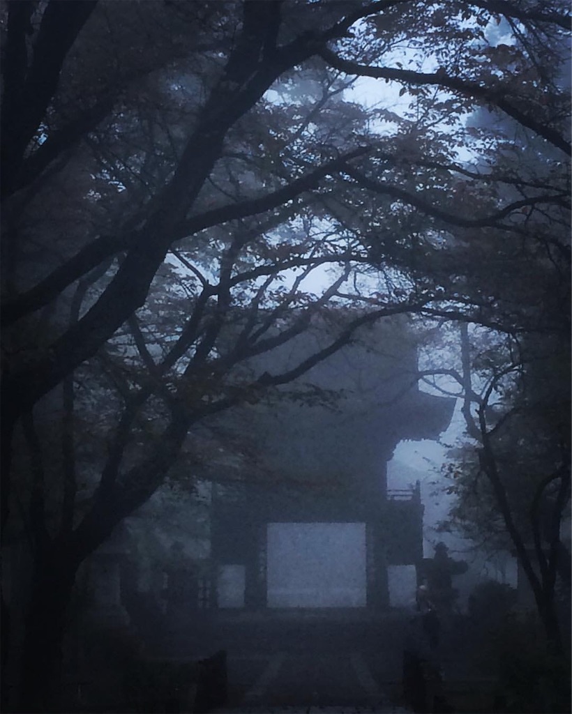 f:id:halnoyamanashi:20190218121938j:image