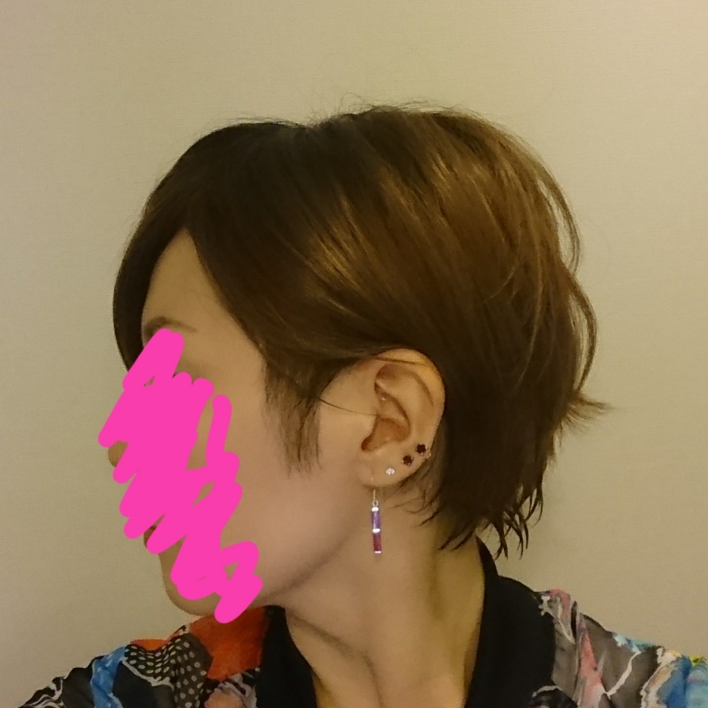 f:id:halnyan:20170630213532j:plain f:id:halnyan:20170630213532j:plain