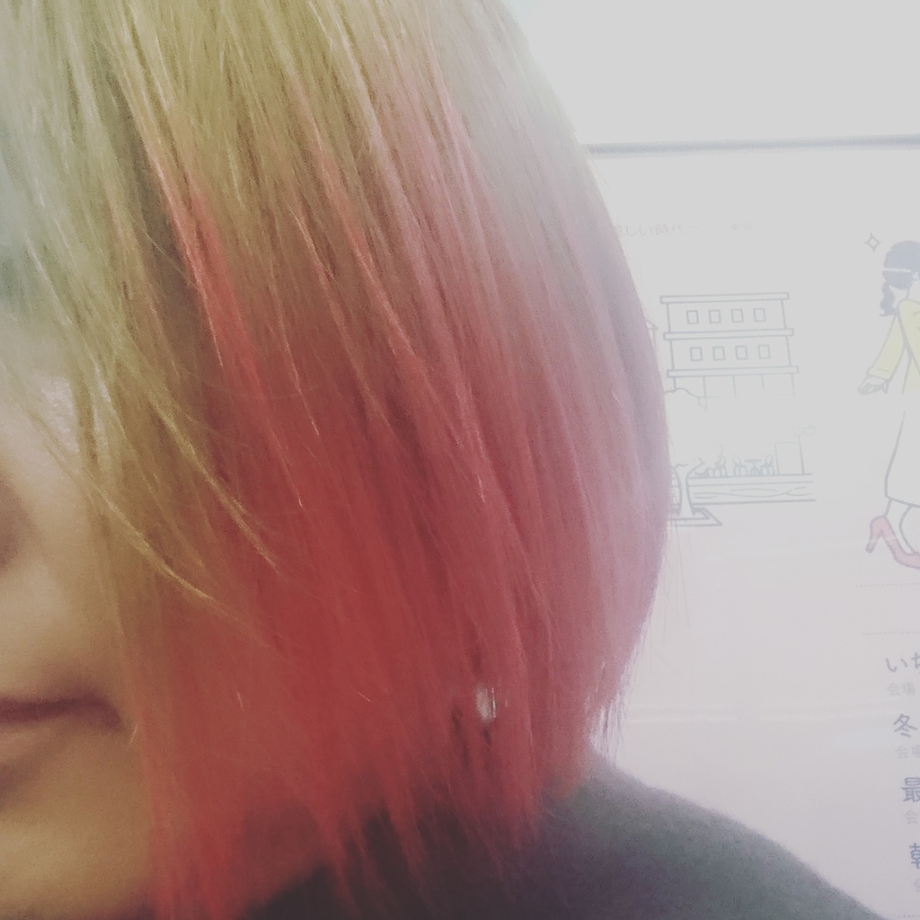 f:id:halnyan:20190227083718j:plain f:id:halnyan:20190227083718j:plain