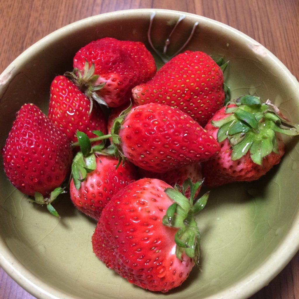 f:id:halotaconsulting:20180405220523j:plain f:id:halotaconsulting:20180405220523j:plain