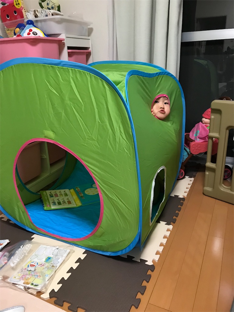 f:id:halpapa:20180605130026j:image