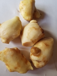 f:id:halsuke:20181101112928j:plain f:id:halsuke:20181101112928j:plain
