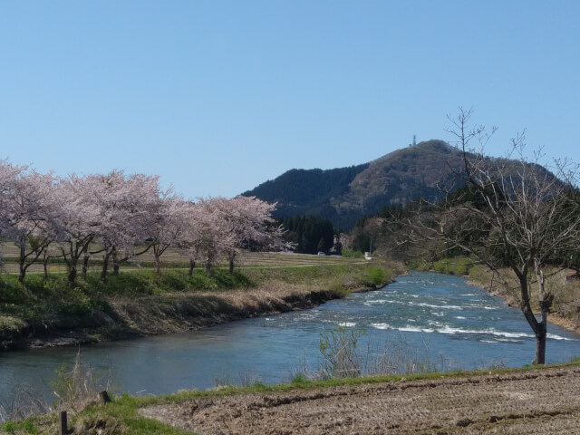honda_ape_touring_gojyoume
