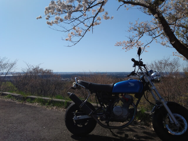 honda_ape_setting_touring