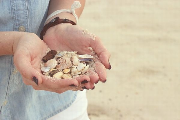 幸せを呼ぶ【ピース貝】探しに沖縄県の古宇利島に行ってきたよー
