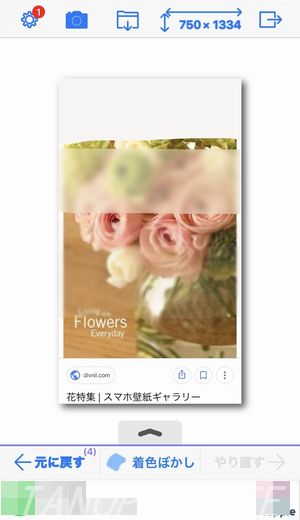 f:id:halu89:20180426220756j:plain f:id:halu89:20180426220756j:plain