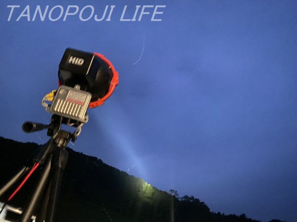 北海道】今峰ライトで大量採集！来るかミヤマ75mmオーバー