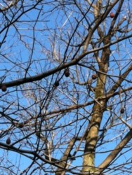 f:id:halujion:20110222154813j:image