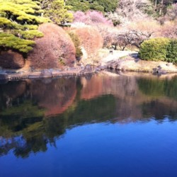 f:id:halujion:20110302185245j:image