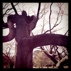 f:id:halujion:20110302190129j:image