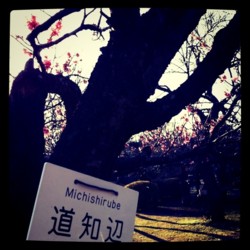 f:id:halujion:20110302190516j:image