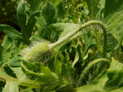 f:id:halujion:20110504005748j:image f:id:halujion:20110504005748j:image
