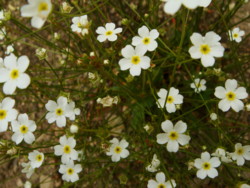 f:id:halujion:20110504010514j:image f:id:halujion:20110504010514j:image