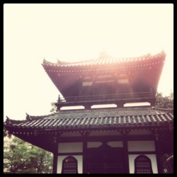 f:id:halujion:20110605192647j:image f:id:halujion:20110605192647j:image