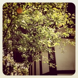 f:id:halujion:20110605192659j:image f:id:halujion:20110605192659j:image