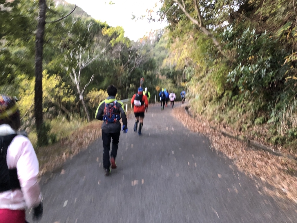 f:id:haluka0514:20181222135749j:plain