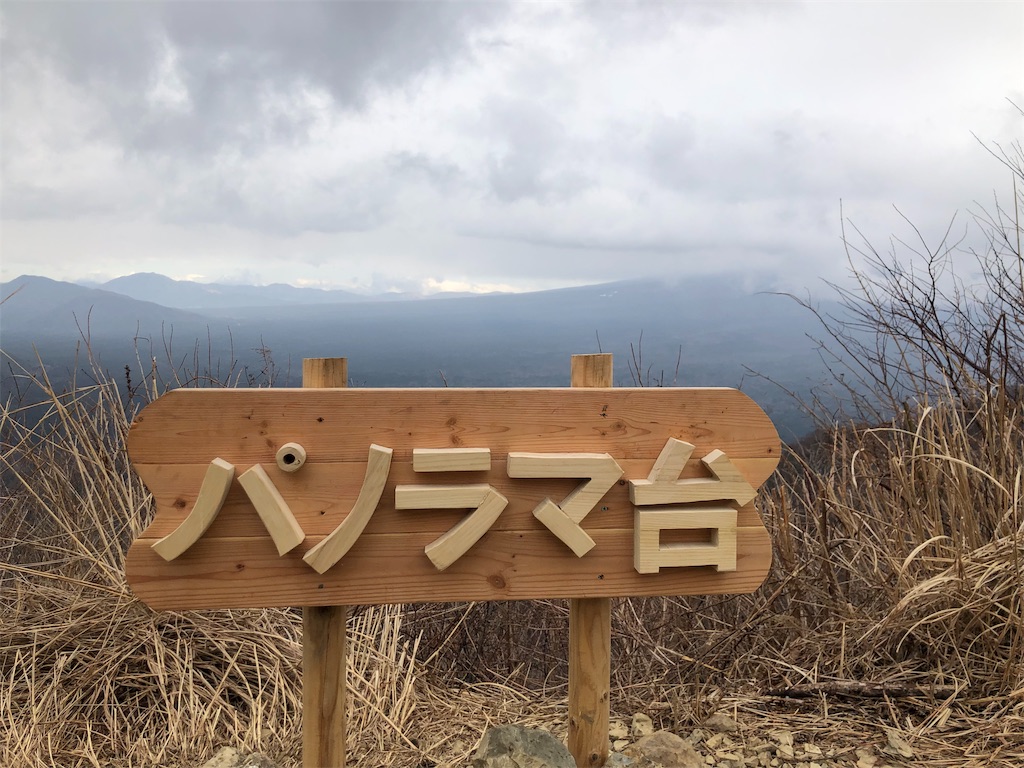 f:id:haluka0514:20190125123418j:plain f:id:haluka0514:20190125123418j:plain