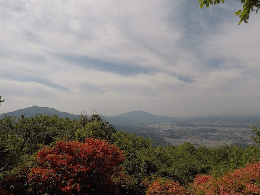 f:id:haluka0514:20190518111639j:image f:id:haluka0514:20190518111639j:image
