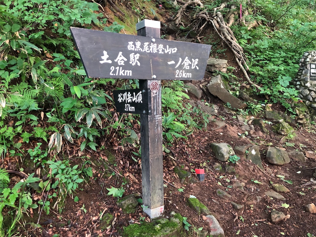 f:id:haluka0514:20190929210806j:image f:id:haluka0514:20190929210806j:image