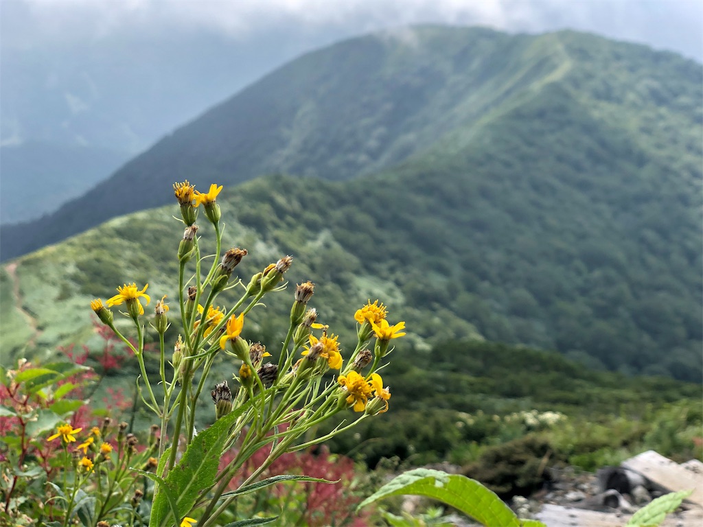 f:id:haluka0514:20190929211723j:image f:id:haluka0514:20190929211723j:image
