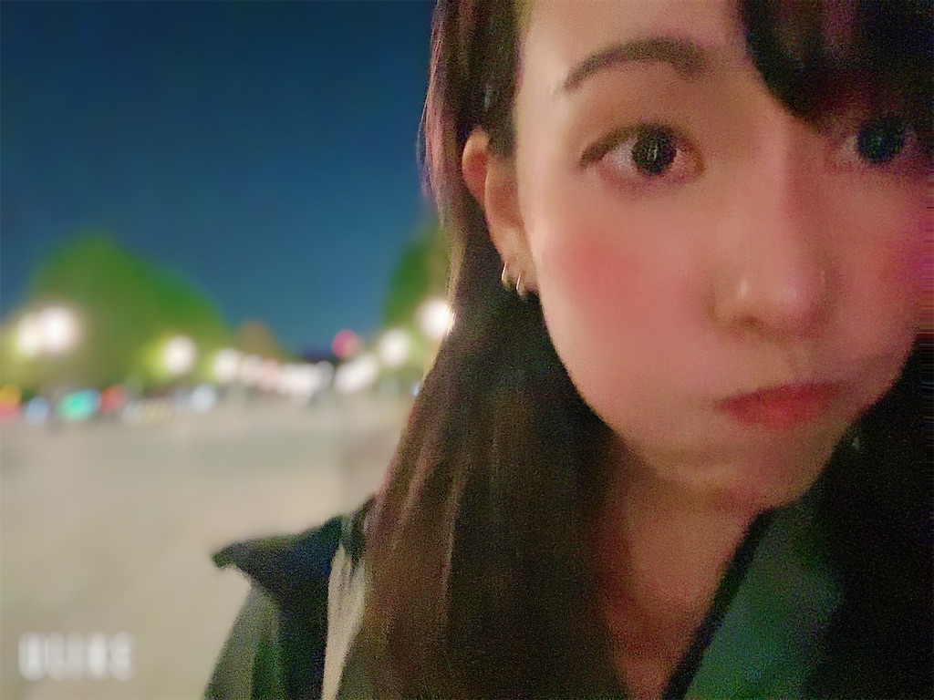 f:id:haluka0514:20201115192737j:image