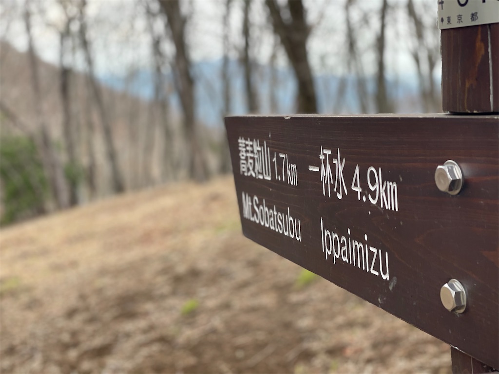 f:id:haluka0514:20210505171152j:image f:id:haluka0514:20210505171152j:image