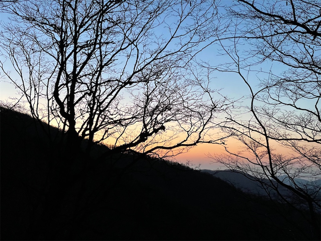 f:id:haluka0514:20210505171805j:image f:id:haluka0514:20210505171805j:image