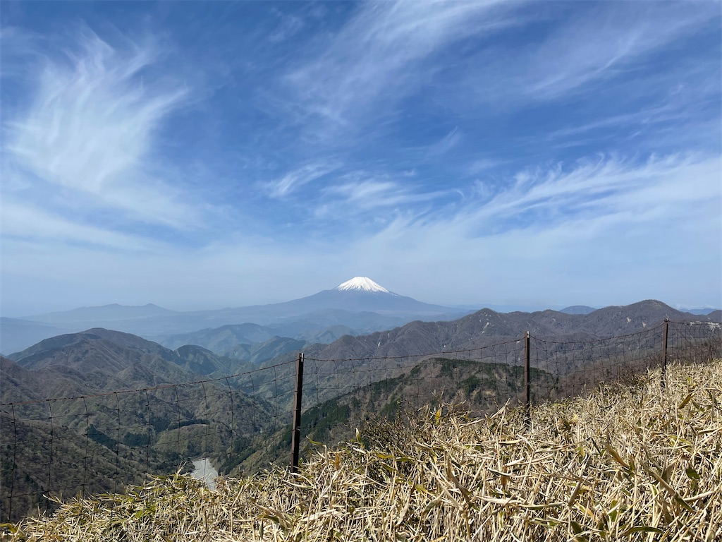 f:id:haluka0514:20210516170050j:image
