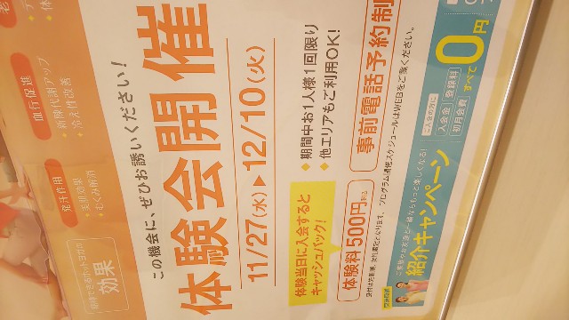 f:id:haluking423:20191126223812j:image