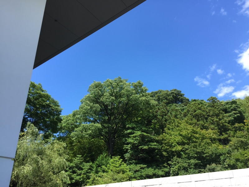 f:id:halynsmak:20170423163733j:plain